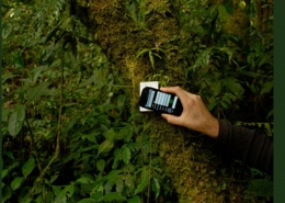 nfc tags on trees in rainforest for tracking