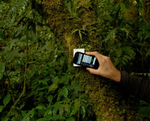 nfc tags on trees in rainforest for tracking